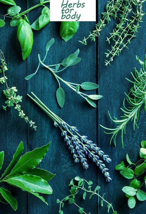 Herbs for body