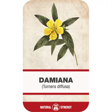 Damiana (Turnera diffusa) 250 g Damiana (Turnera diffusa) 250 g