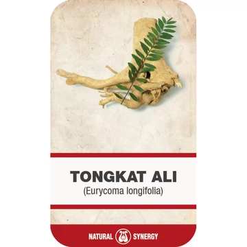 Tongkat Ali (Eurycoma longifolia) gyökér aprított 50 g Tongkat Ali (Eurycoma longifolia) gyökér aprított 50 g