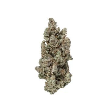 CBD kender virágzat (Super Lemon Haze) 4,5% CBD - 3 g CBD kender virágzat (Super Lemon Haze) 4,5% CBD - 3 g