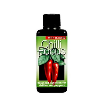 Chili Focus   Chili Focus