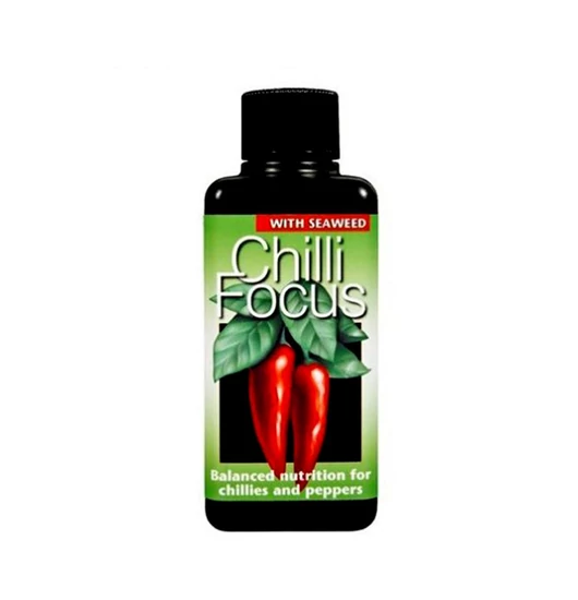  Chili Focus 