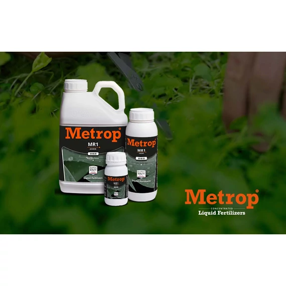 Metrop MR1 