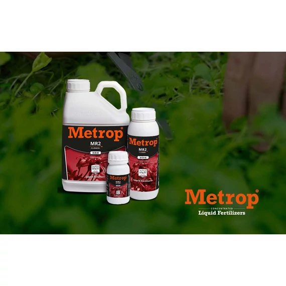 Metrop MR2 