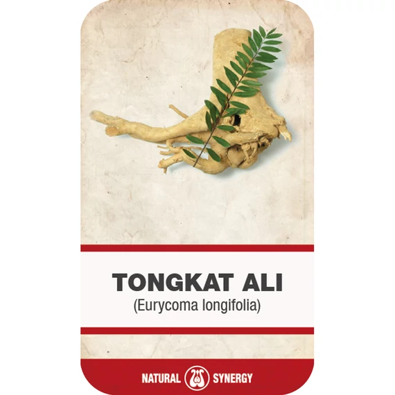 Tongkat Ali (Eurycoma longifolia) gyökér aprított 50 g