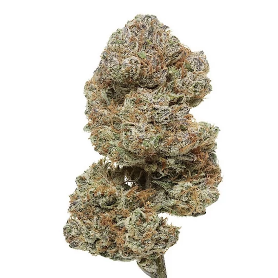 CBD hemp flower (Amnesia) 3,1% CBD