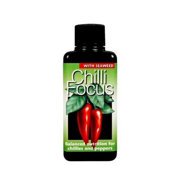  Chili Focus 